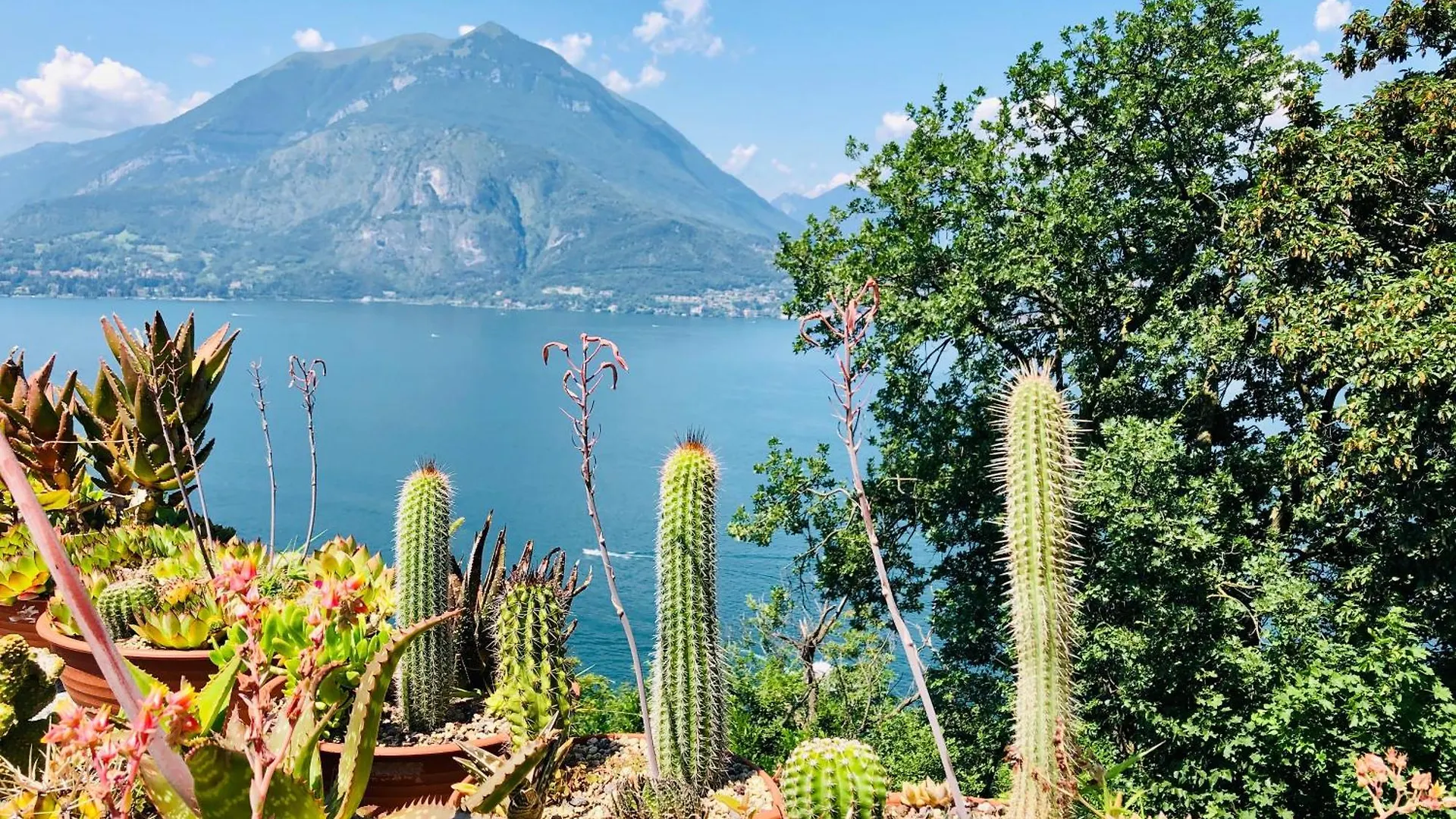 The Cypress House - Historical Center With Ac Apartment Varenna